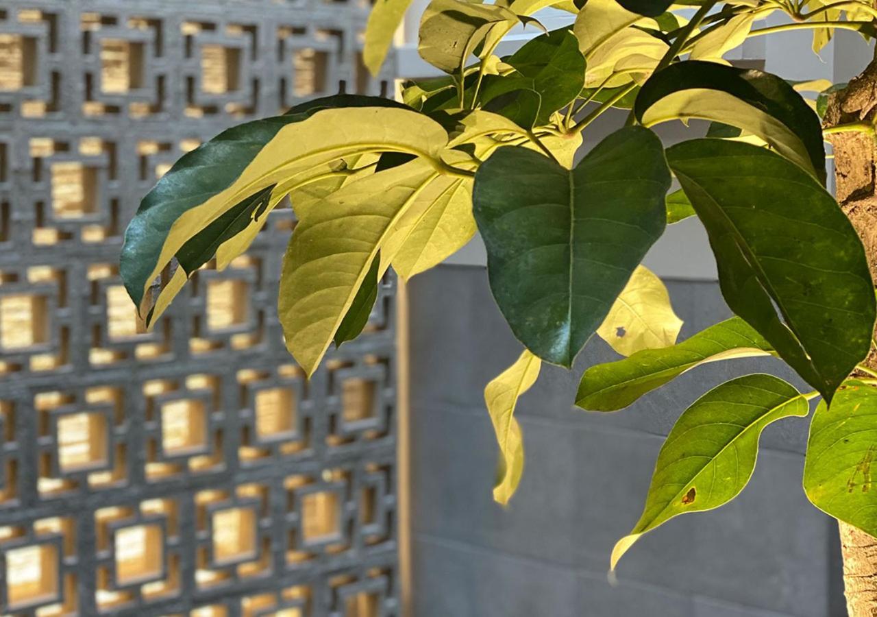Hotel Mx Zocalo Meksyk Zewnętrze zdjęcie